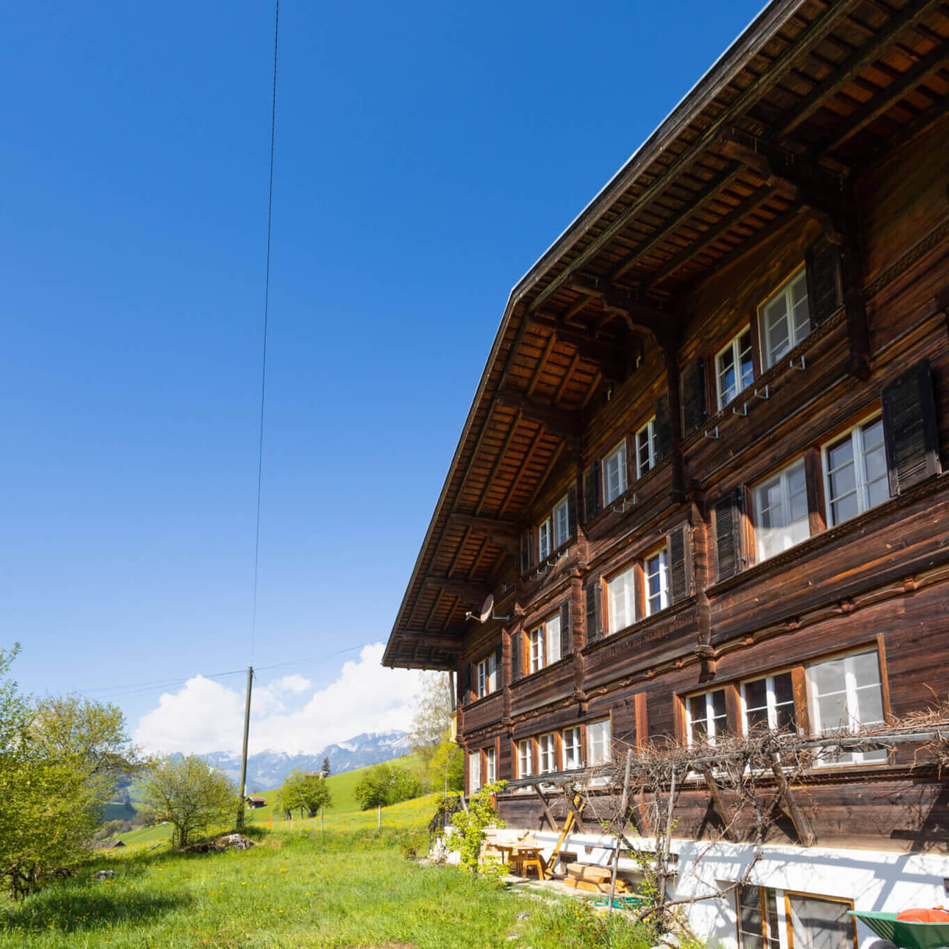 Charming Simmental farmhouse