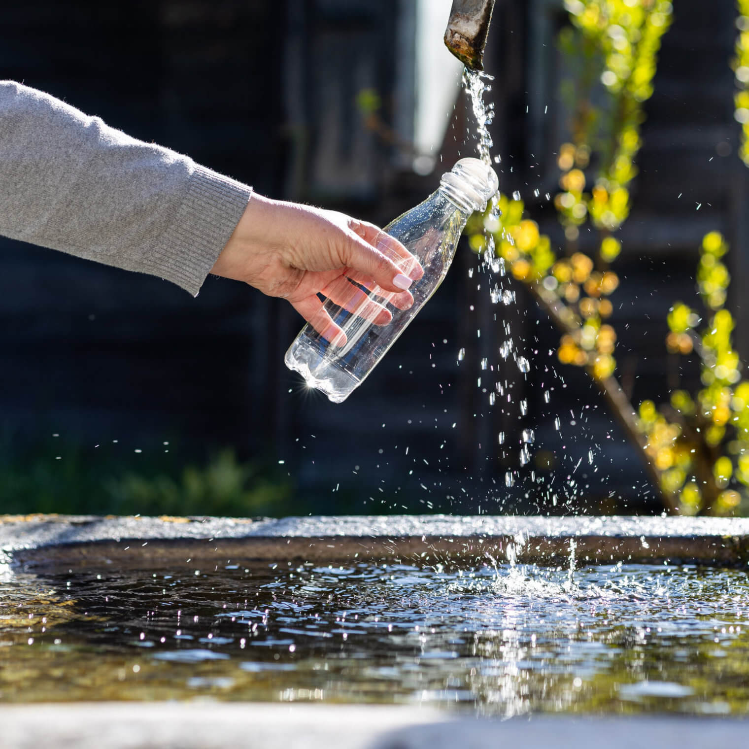 Refreshing mountain springwater